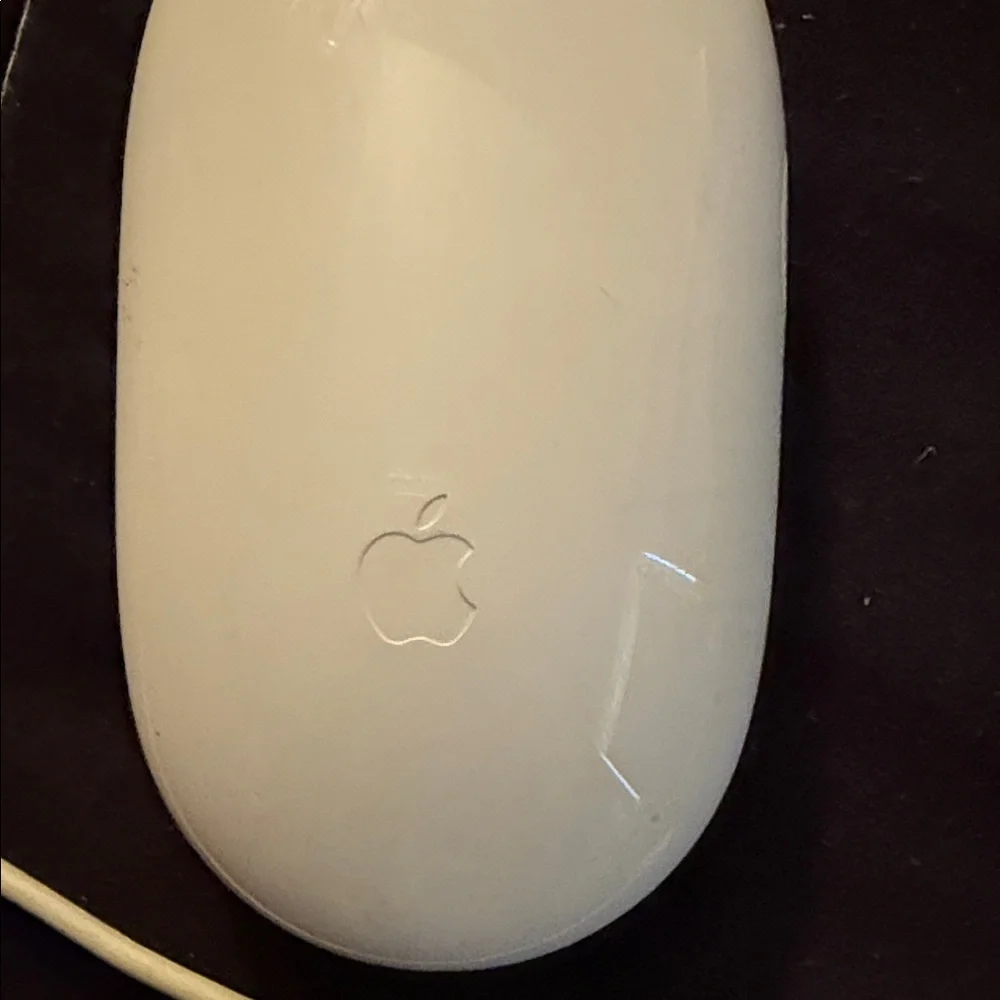 Apple White Wired Mouse